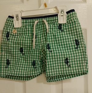 RL green gingham seahorses swim trunks 3